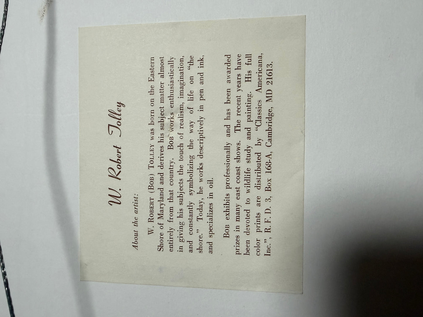 Silent Run – W. Robert Tolley Signed Limited Edition Goose Art Print (65/300)