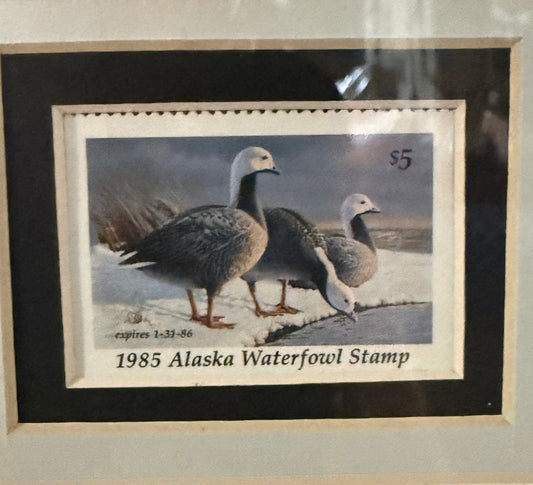 1985 Alaska Waterfowl Conservation Stamp Print Framed – Signed & Numbered