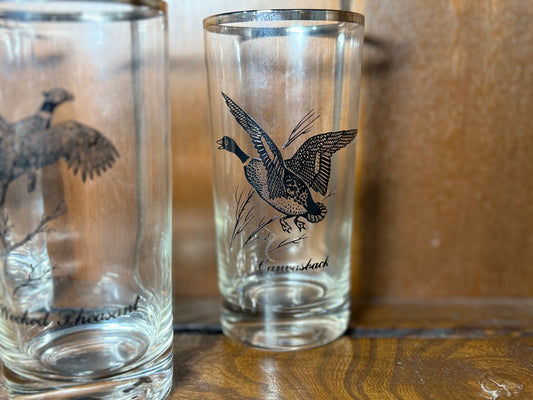 Vintage Wildlife Highball Glasses Set of 3 Pheasant Grouse Canvasback Duck Silver Rim
