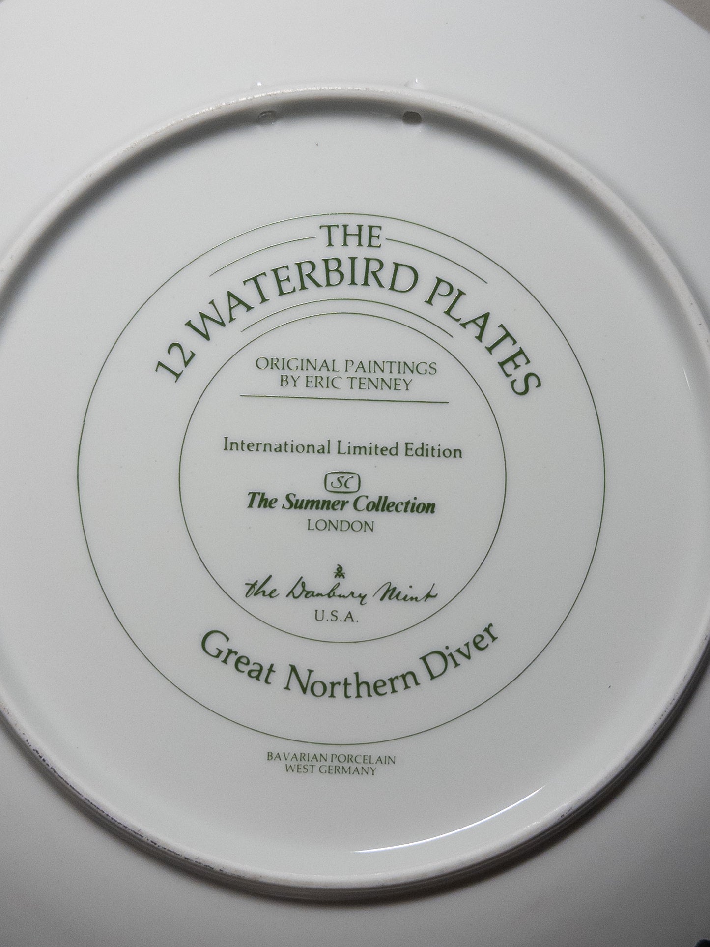 Wild Feathered Finds Danbury Mint 12 Waterbird Plates featuring the Great Northern Diver loon, 9.5-inch porcelain limited edition plate