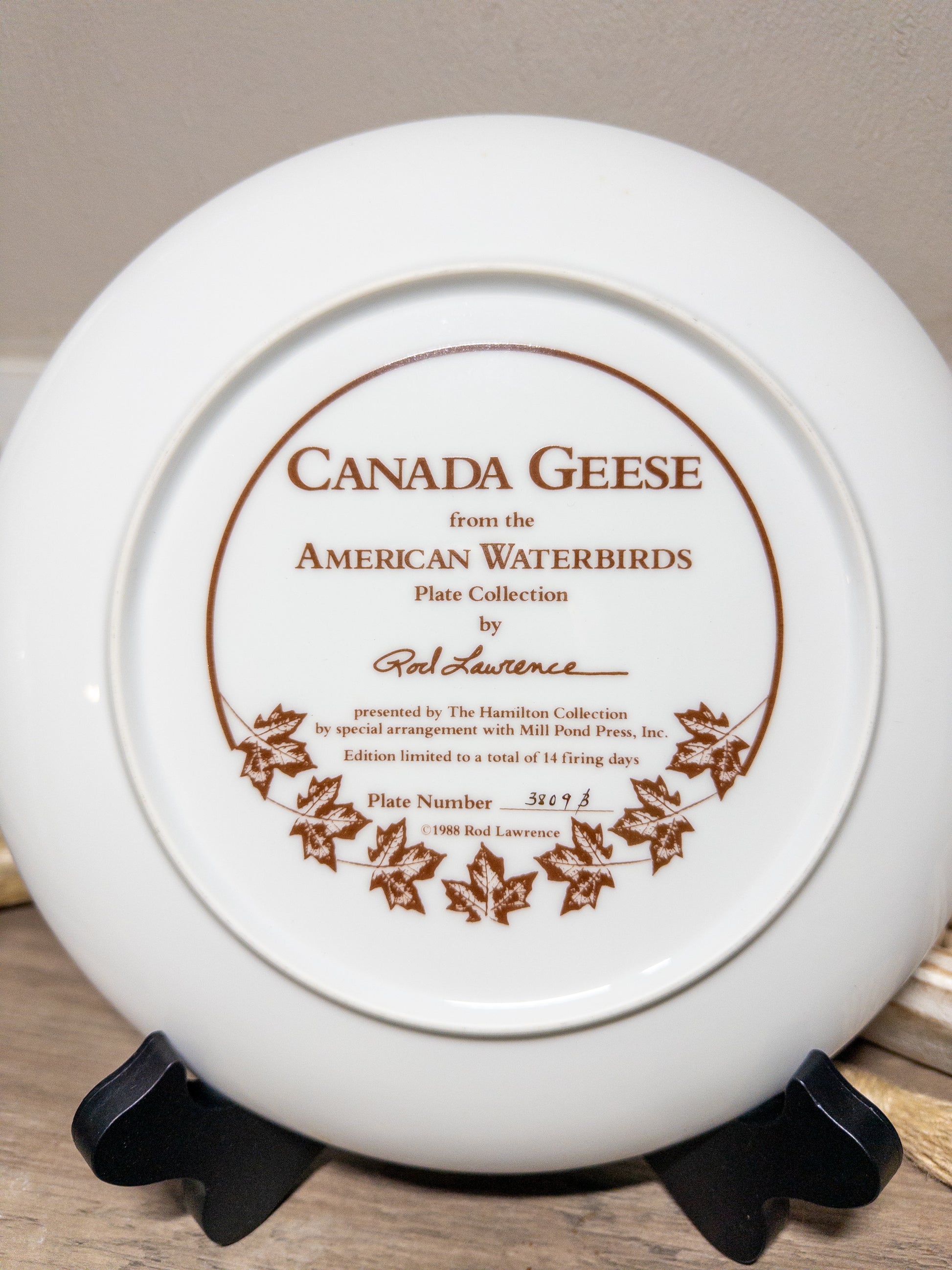 Vintage Canada Geese collector plate by Rod Lawrence featuring American waterbirds, 9-inch size from Wild Feathered Finds.