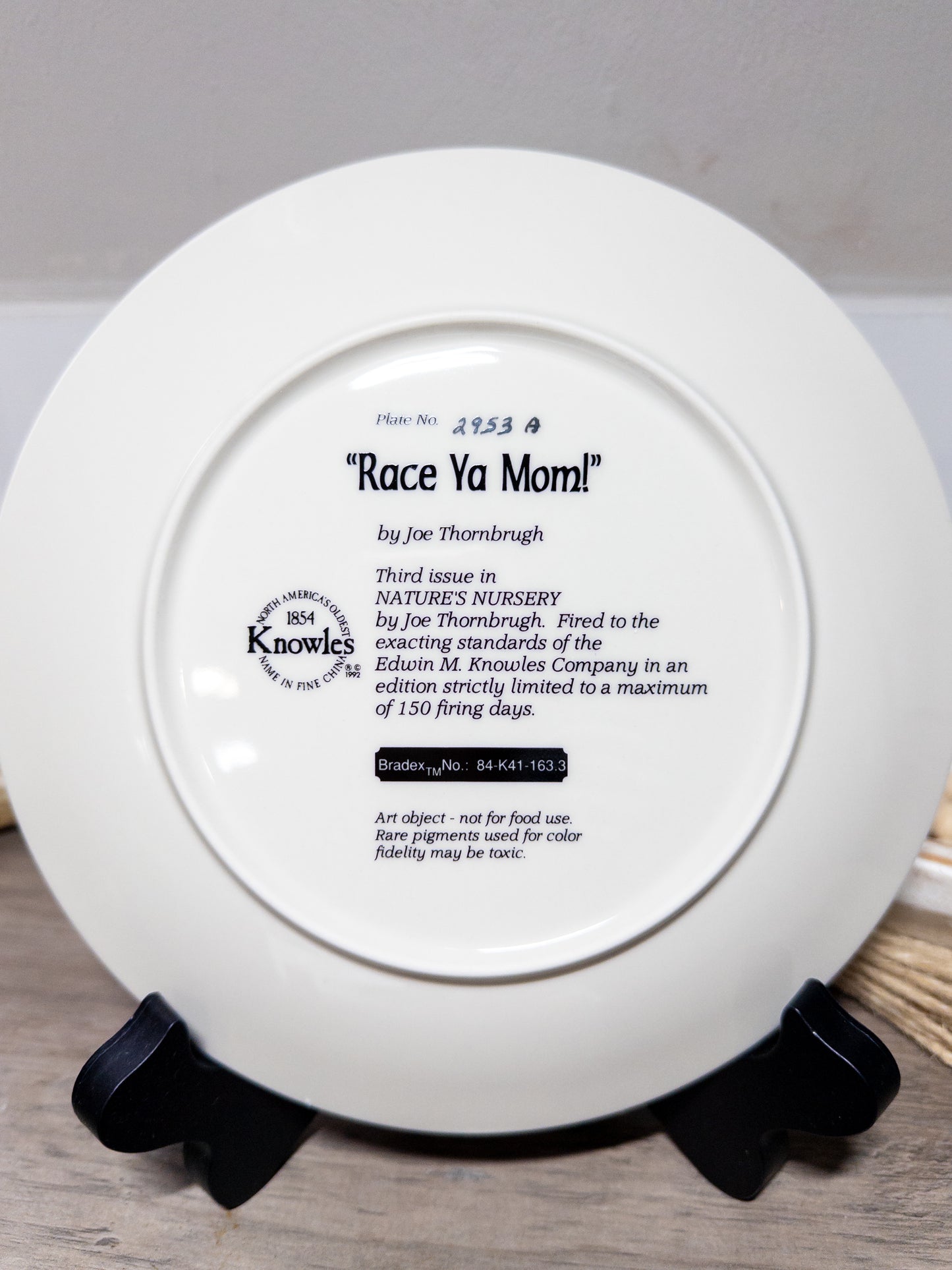 Race Ya Mom! pintail duck collector plate by Joe Thornbrugh, from Wild Feathered Finds, featuring detailed nature scene artwork.