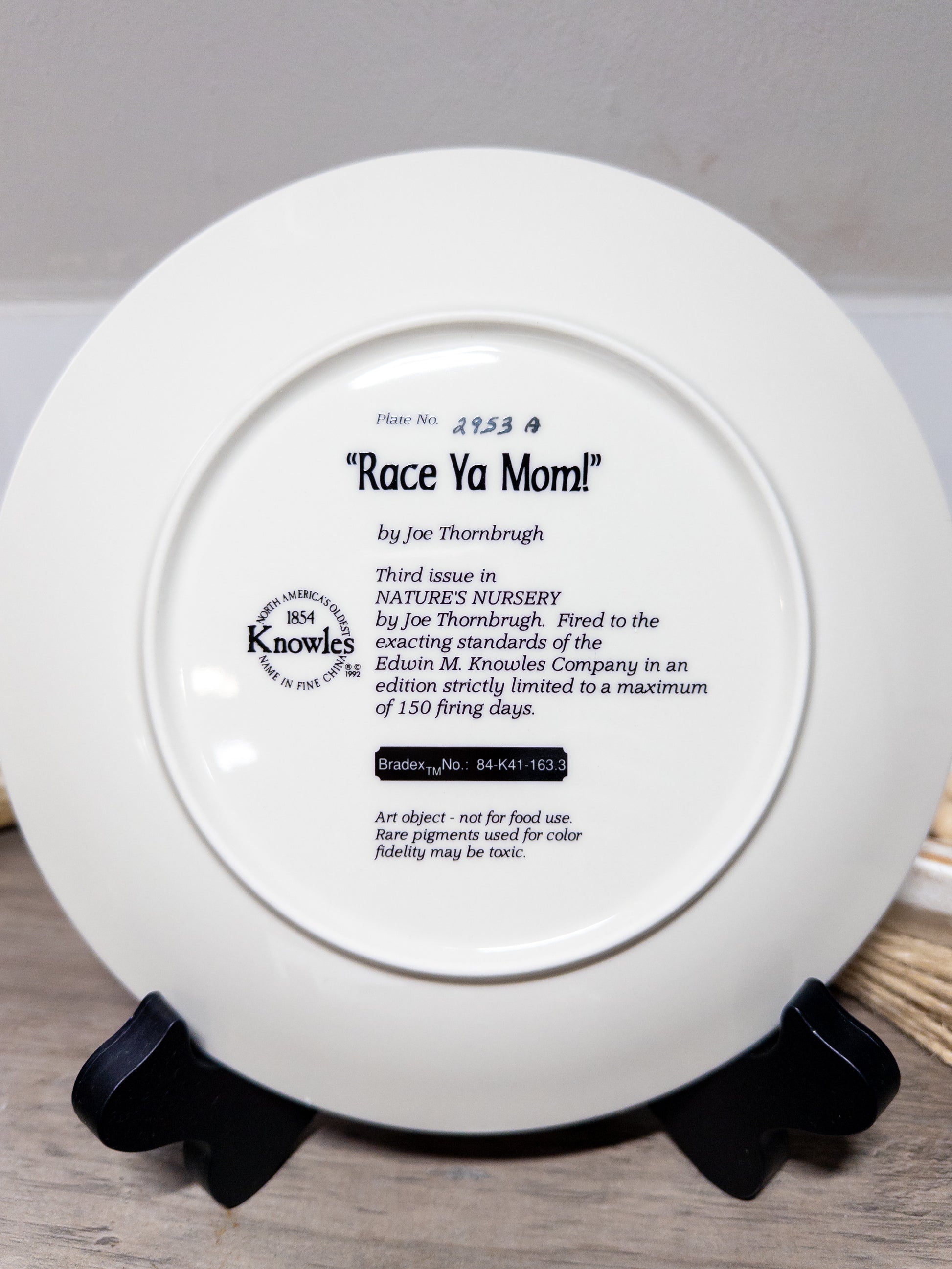 Race Ya Mom! pintail duck collector plate by Joe Thornbrugh, from Wild Feathered Finds, featuring detailed nature scene artwork.
