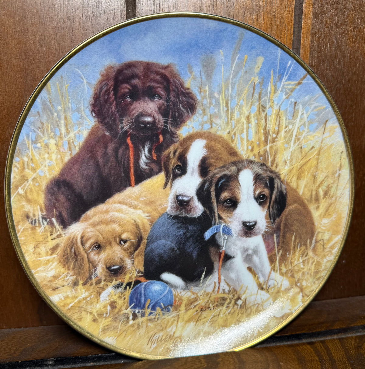 Vintage Franklin Mint ASPCA Puppy Pause collector plate featuring adorable dog puppies, by Wild Feathered Finds.