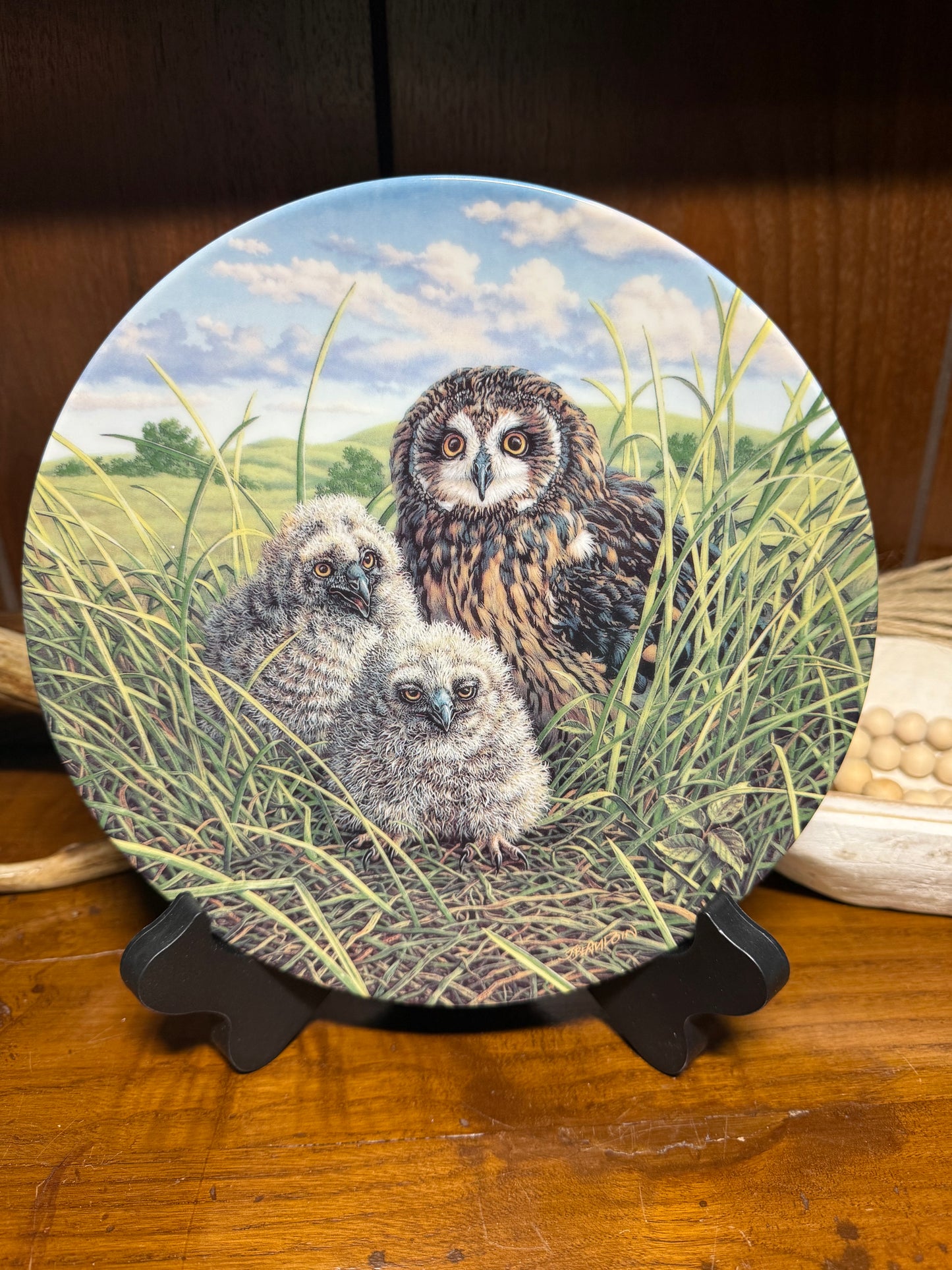 Wild Feathered Finds collector plate featuring a short-eared owl under mother’s wing, from Happy Home series by Knowles China.