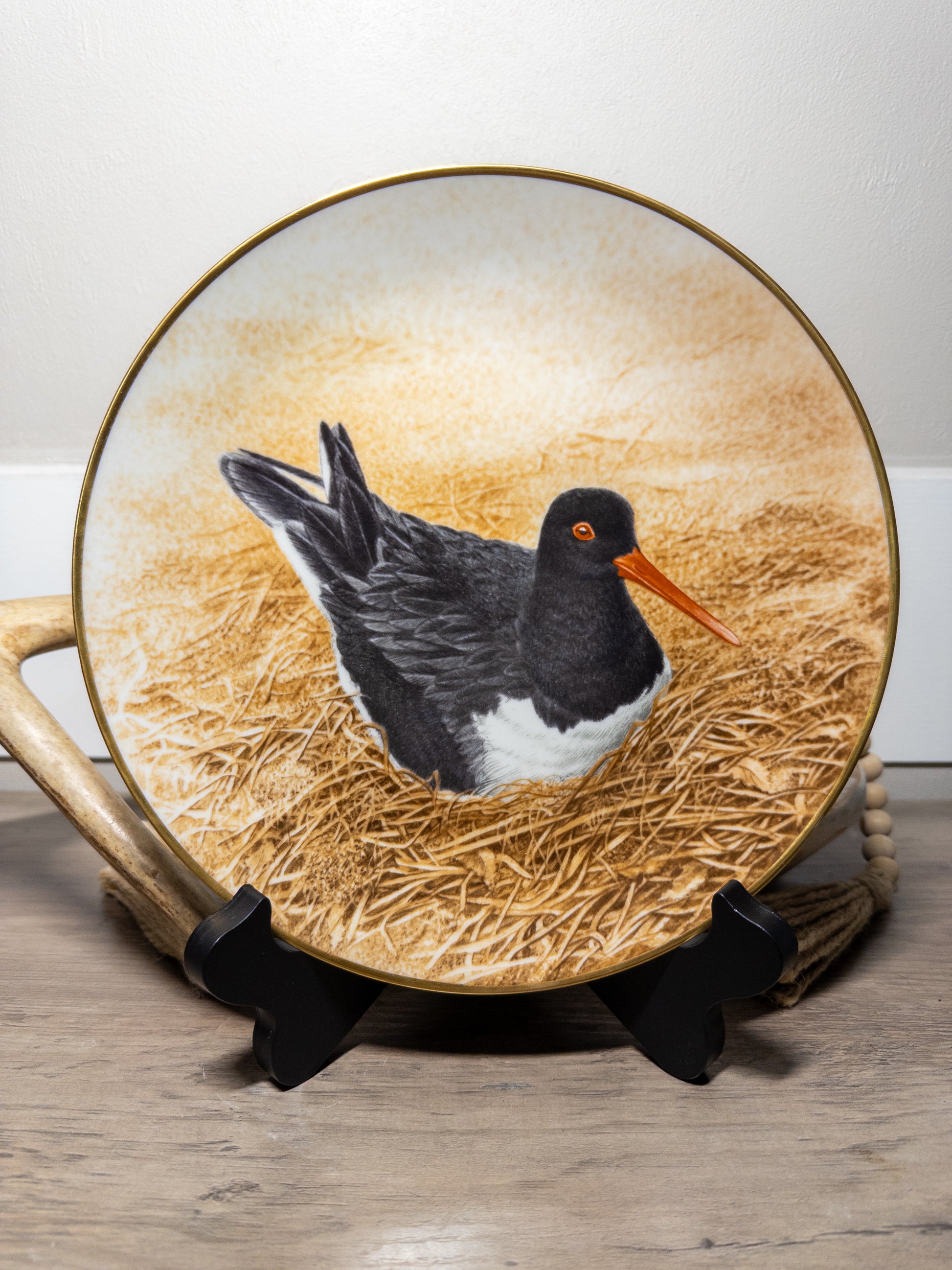 Danbury Mint Waterbird Plate “Oyster Catcher” by Wild Feathered Finds, 9.5-inch porcelain limited edition plate with detailed bird artwork.