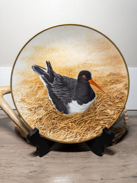 Danbury Mint Waterbird Plate “Oyster Catcher” by Wild Feathered Finds, 9.5-inch porcelain limited edition plate with detailed bird artwork.