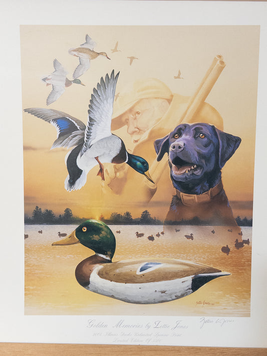 "Golden Memories by Zettie Jones, 2004 Illinois Ducks Unlimited sponsor print featuring vibrant waterfowl artwork, 17x15 inches"