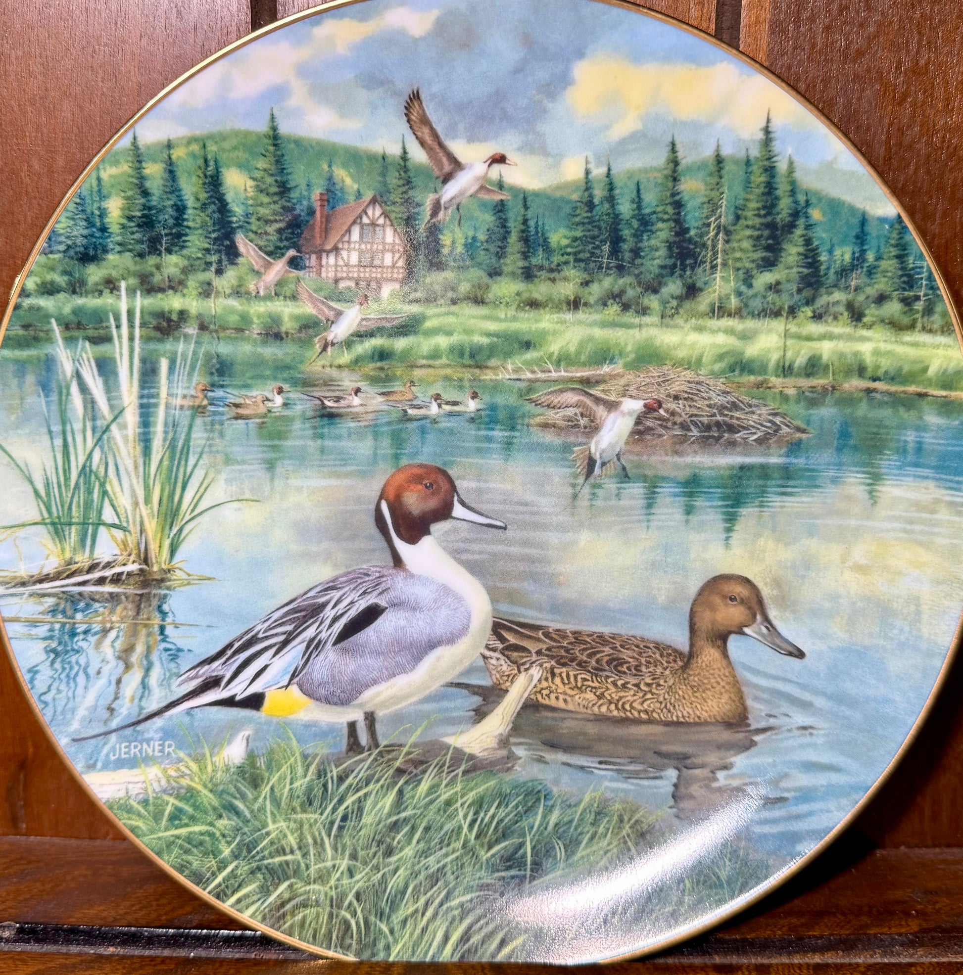 Vintage 1986 Knowles “The Pintail” collector plate by Bart Jerner, featuring detailed bird artwork, from Wild Feathered Finds.