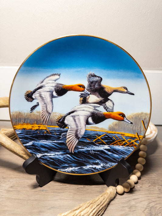 Redheads Federal Duck Stamp Plate 1991 by Arthur D. Anderson, Wild Feathered Finds collectible bird art on ceramic plate.