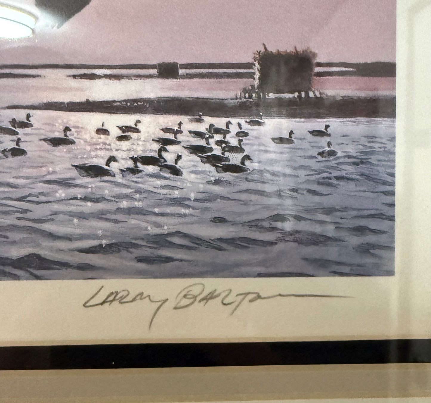 Canada geese migratory bird conservation print by Larry Barton, vintage wildlife artwork showcasing wild feathered birds.