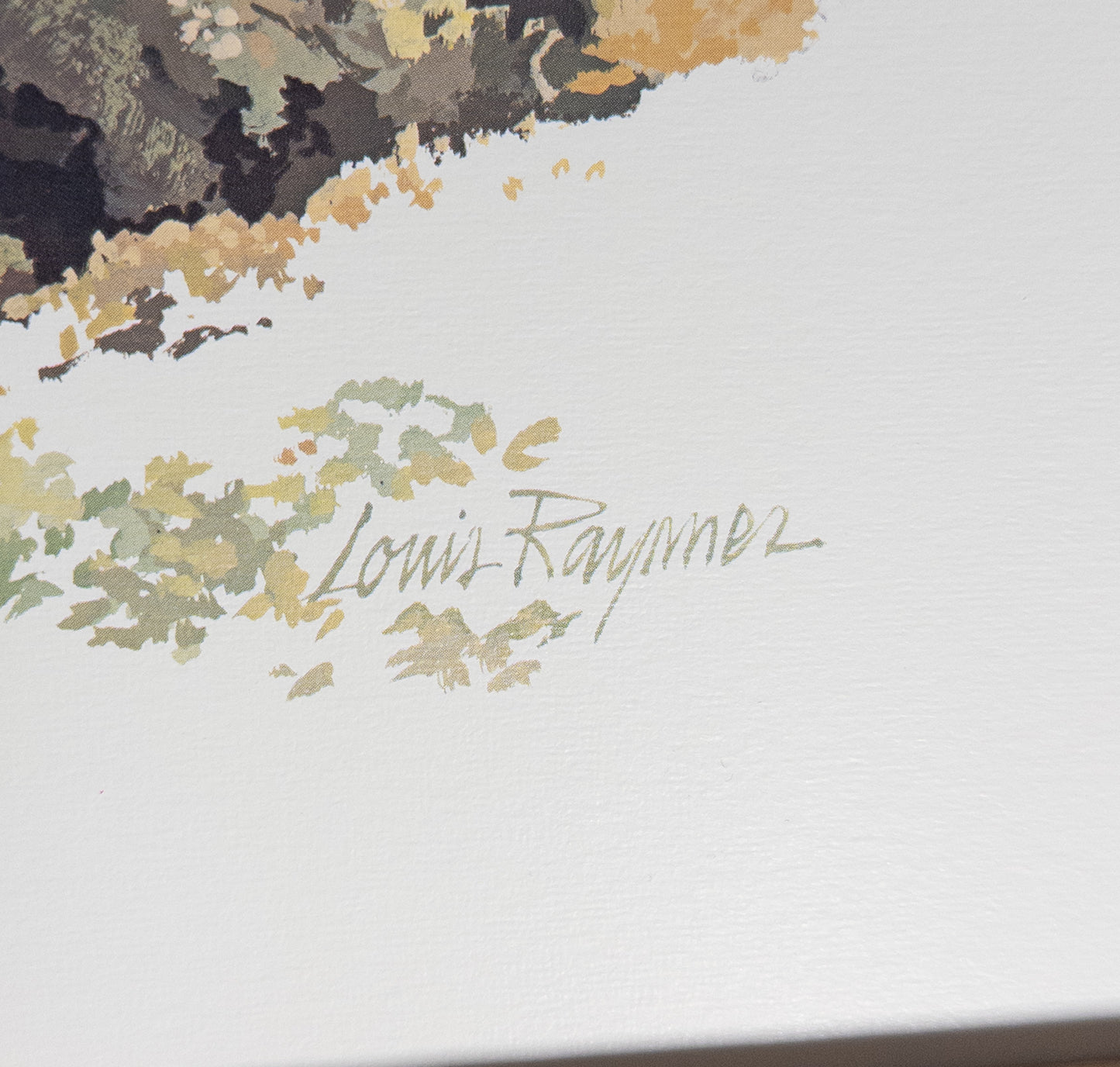 Louis Rayment Whitetail Buck Jumping Log Wildlife Art Print 19x15