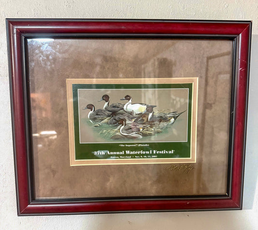 The Impostor (Pintails) Waterfowl Festival Print Framed 13x11 Signed Duck Art