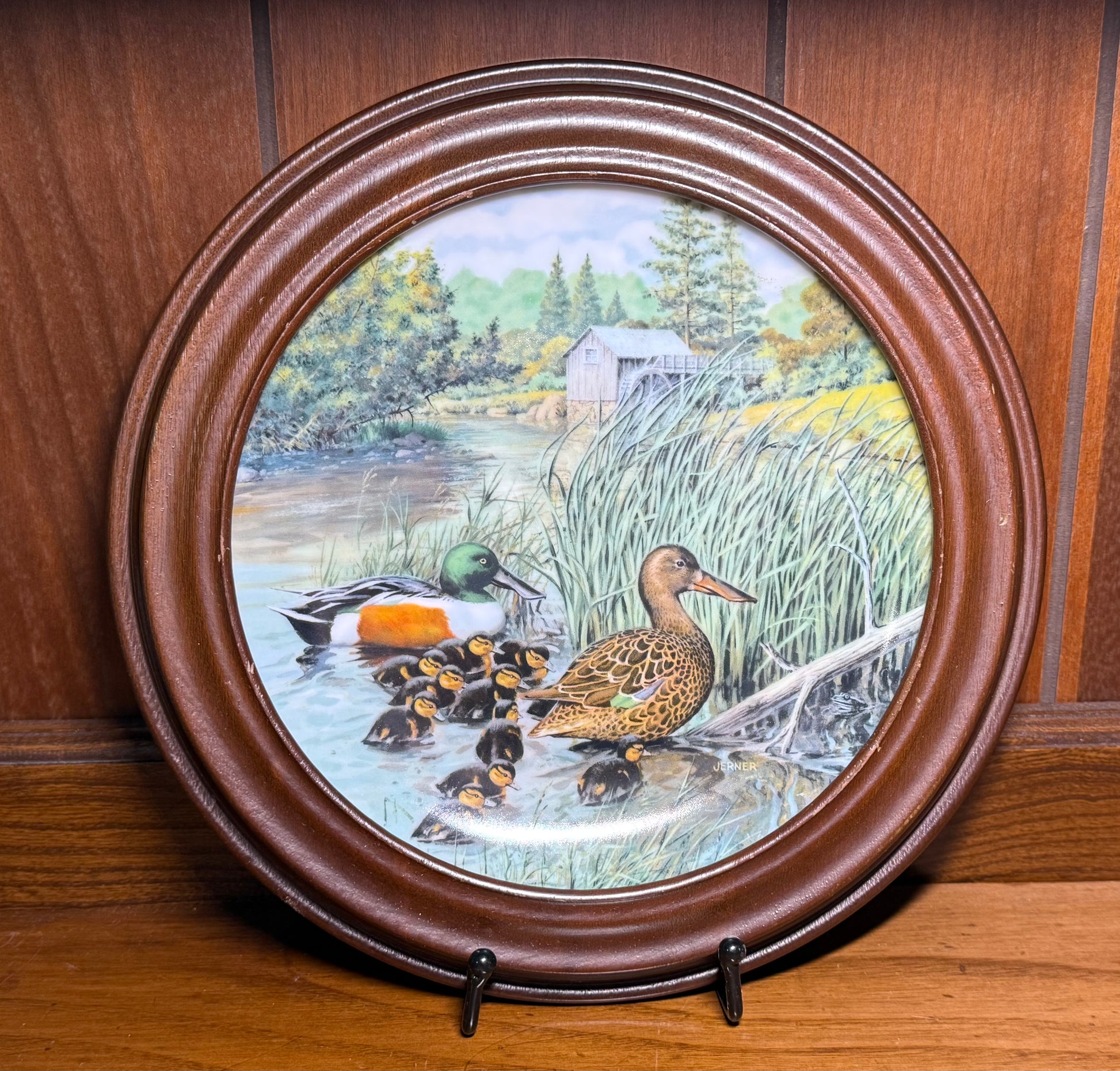 Vintage 1987 “The Northern Shoveler” collector plate by Jerner, framed, from Wild Feathered Finds’ Living With Nature series.
