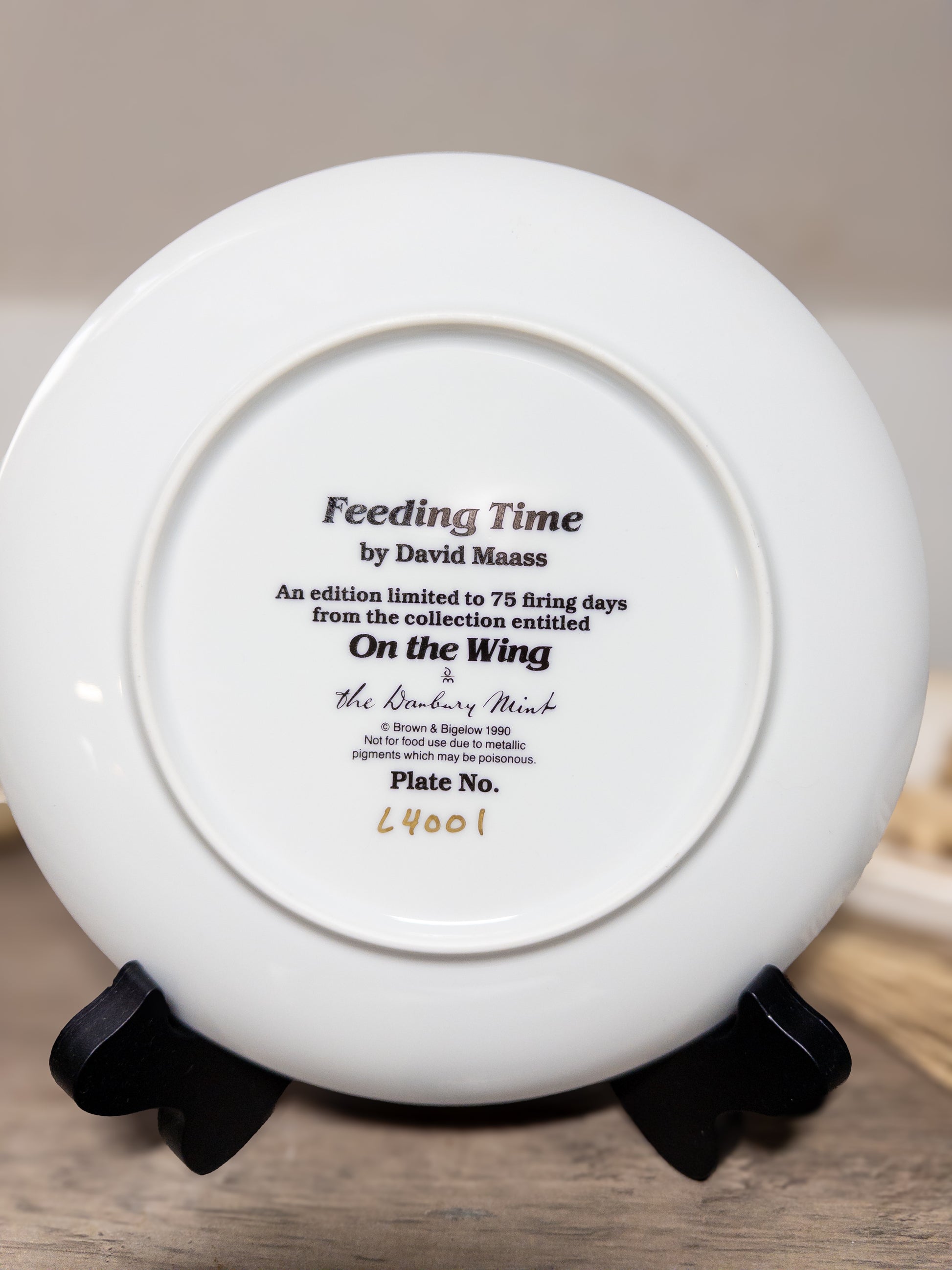 Feeding Time Ring-Neck Duck collector plate by David A. Maass, Wild Feathered Finds, featuring detailed duck illustration.
