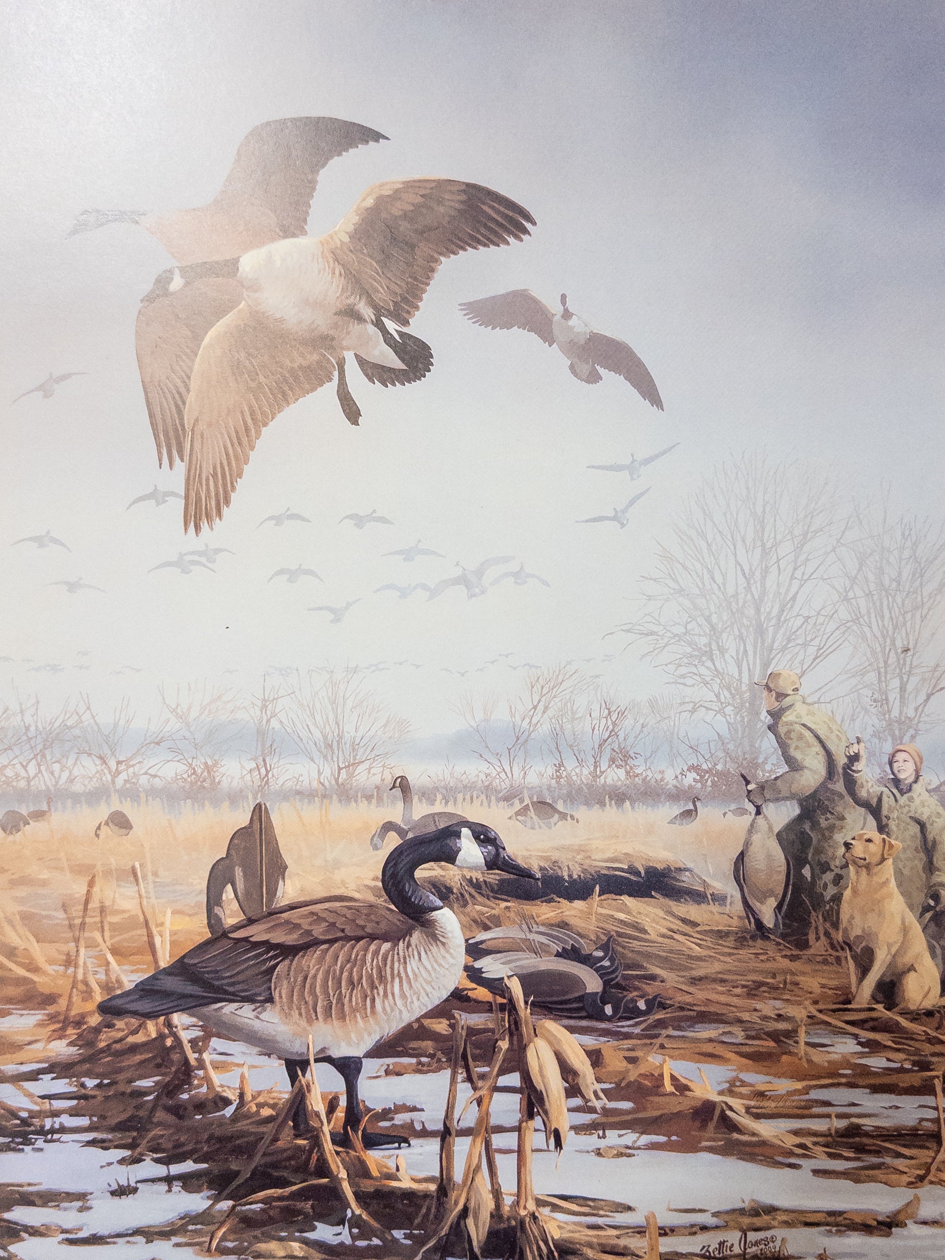 "Rend Lake Memories print by Zettie Jones featuring Illinois ducks, 17x15 inches, wildlife art from Wild Feathered Finds"