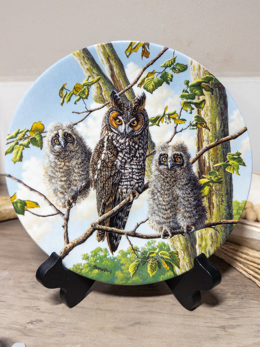 Long-eared owl collector plate from Jim Beaudoin's Treetop Trio series by Knowles China, featuring detailed owl artwork under Mother’s Wing.