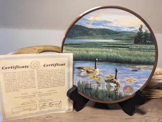 Alan Barnard “A Family Portrait” Canada Goose Collector Plate – Dominion China 1993