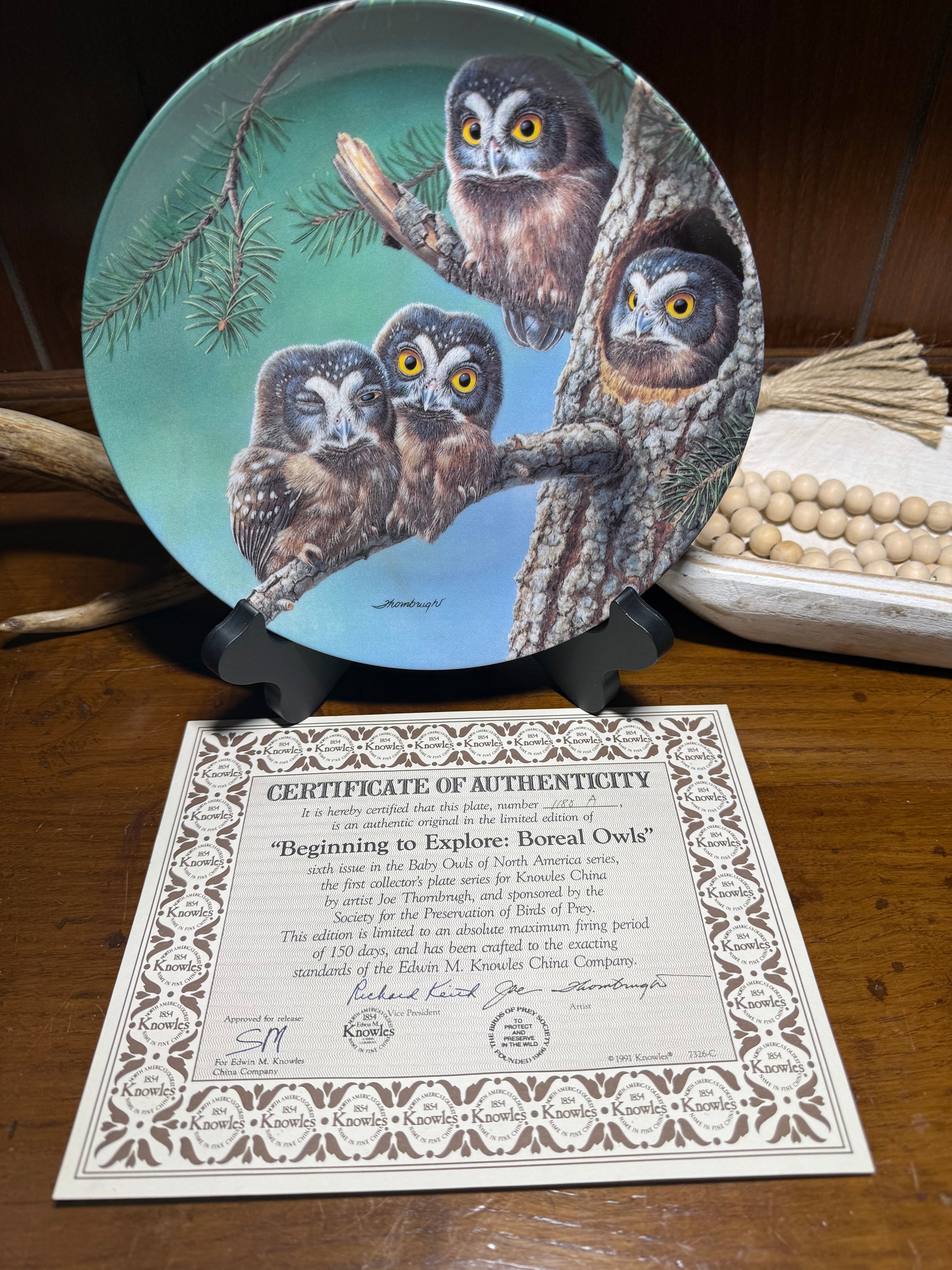 Ceramic plate featuring illustrations of Boreal Owls by Joe Thornbrugh, part of the Beginning to Explore series, with wild bird artwork.
