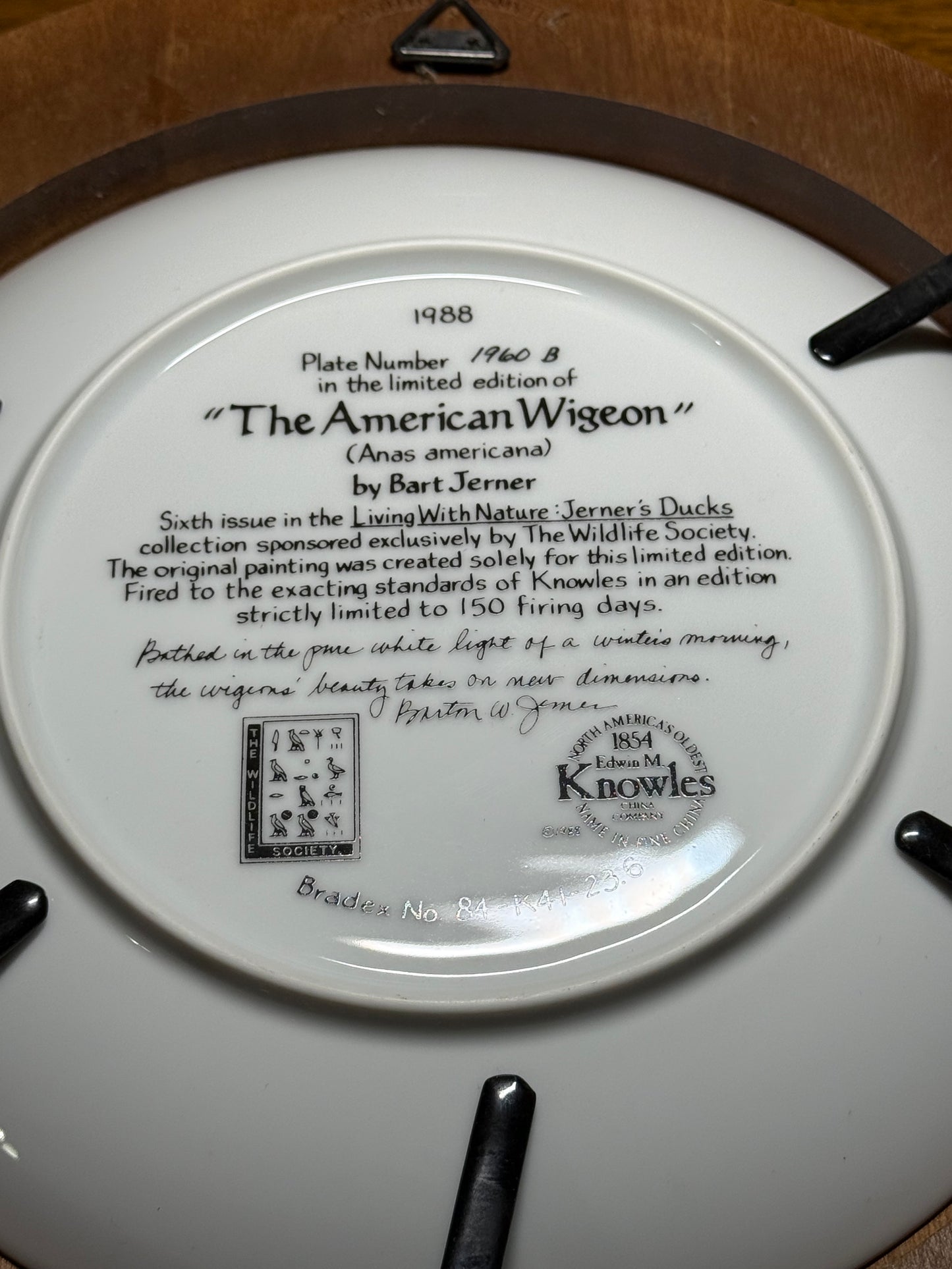 Vintage 1988 Wild Feathered Finds collector plate featuring "The American Wigeon" from the Living With Nature series, framed.
