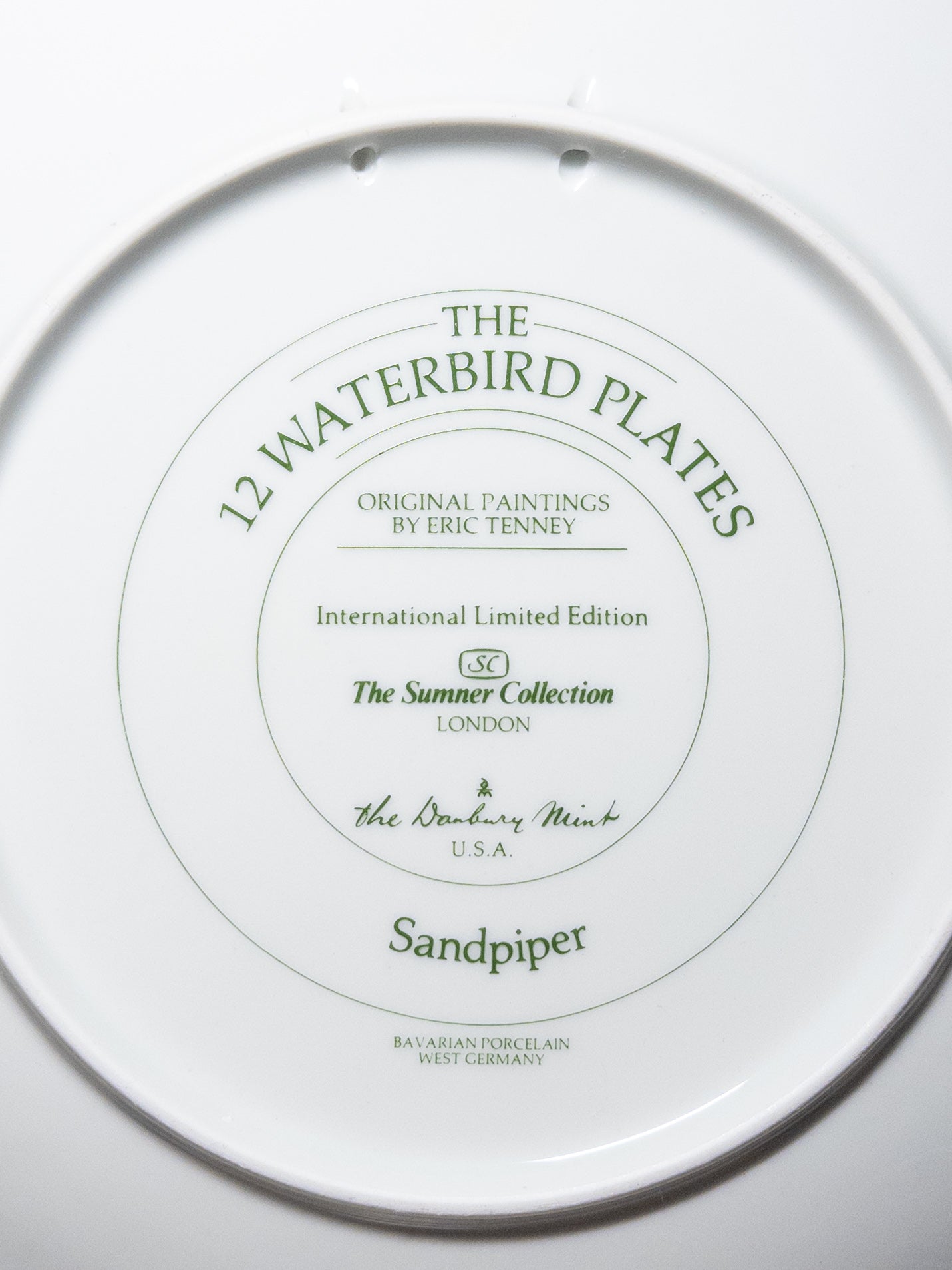 Danbury Mint 12 Waterbird Plates "Sandpiper" porcelain plate by Wild Feathered Finds, 9.5 inches, limited edition decorative bird dish