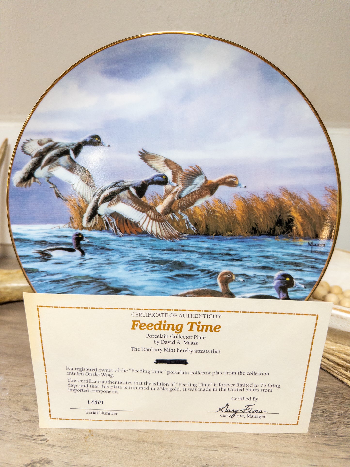 Feeding Time ring-neck duck collector plate by David A. Maass, Wild Feathered Finds, detailed bird illustration on ceramic plate