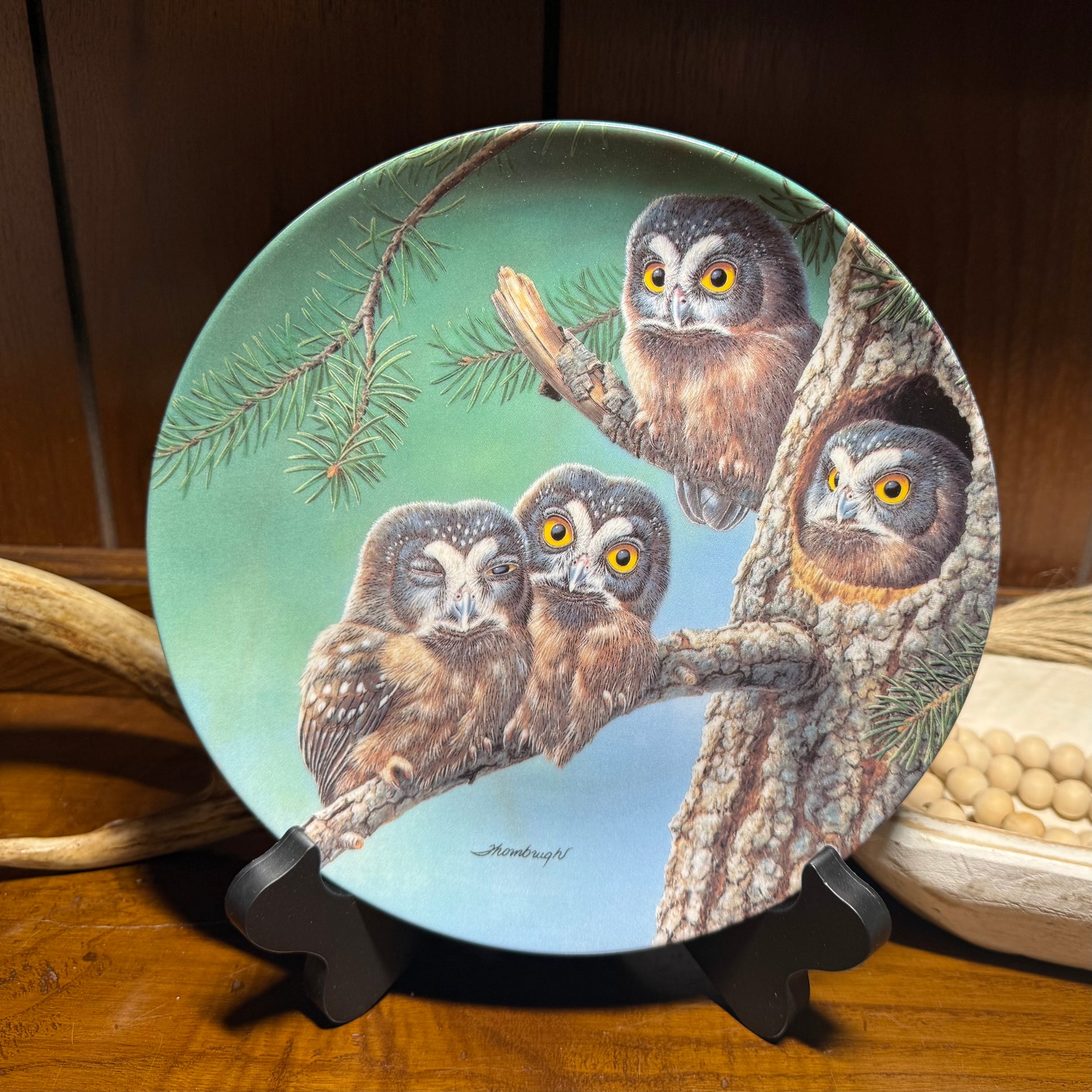 Wild Feathered Finds Boreal Owls Plate #1180A by Joe Thornbrugh featuring baby owls in a forest scene with COA.