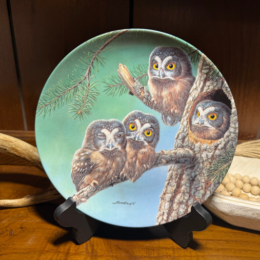 Wild Feathered Finds Boreal Owls Plate #1180A by Joe Thornbrugh featuring baby owls in a forest scene with COA.
