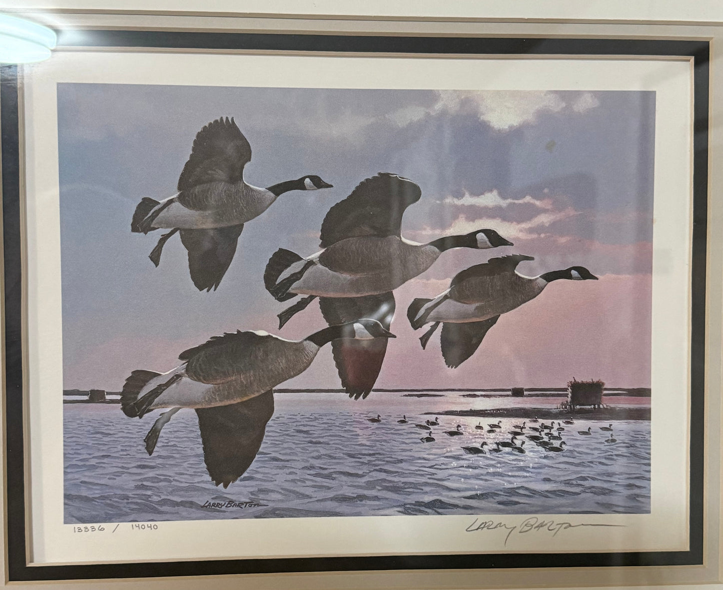 Canada geese migratory bird conservation print by Larry Barton, wildlife art illustration showcasing wild bird scene.