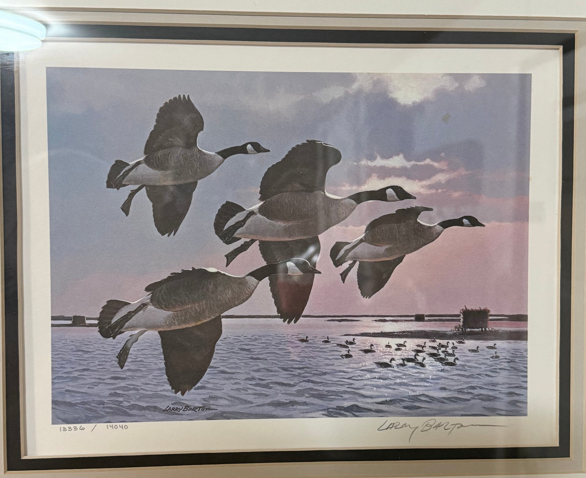 Canada geese migratory bird conservation print by Larry Barton, wildlife art illustration showcasing wild bird scene.