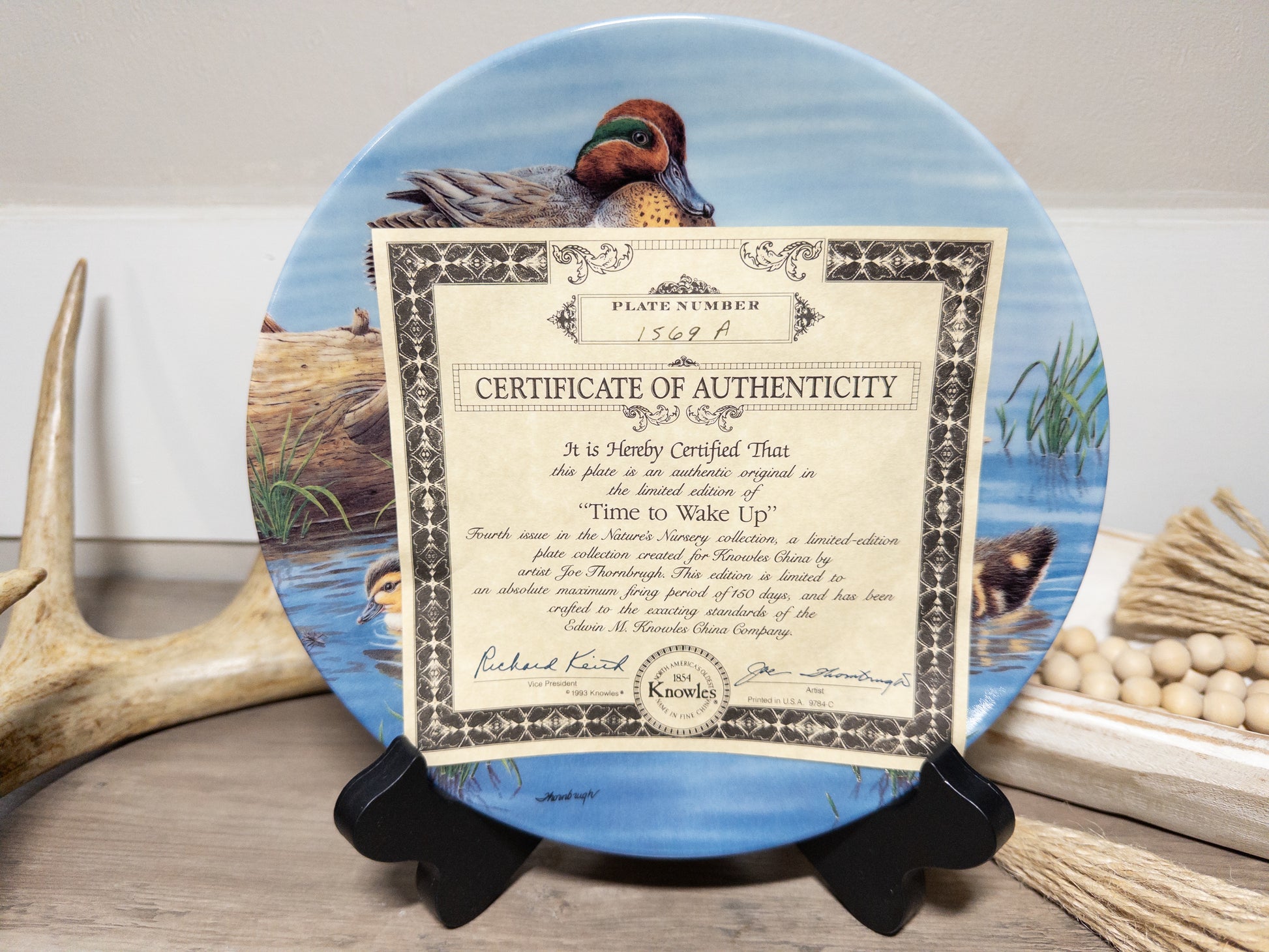Green-winged teal duck family collector plate by Wild Feathered Finds featuring realistic wildlife art by Joe Thornbrugh.