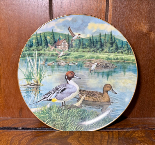 Vintage 1986 Knowles "The Pintail" collector plate by Bart Jerner, featuring detailed bird artwork from Wild Feathered Finds.