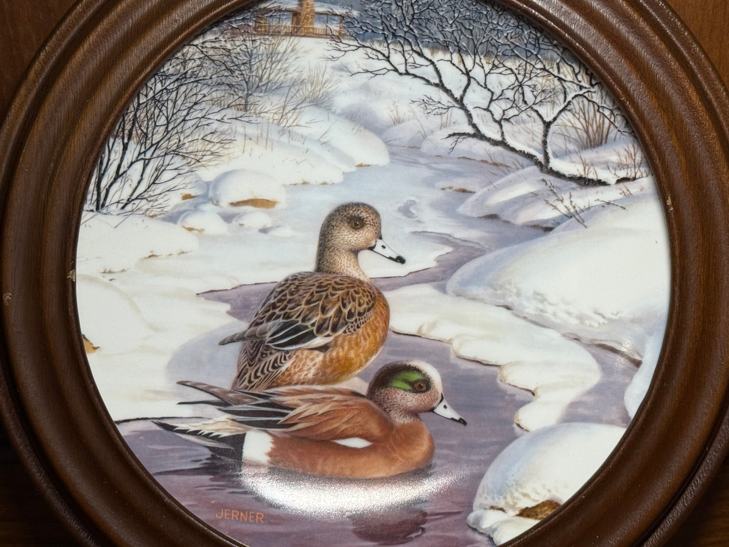 Vintage 1988 Jerner American Wigeon collector plate from Wild Feathered Finds, framed and part of the Living With Nature series.