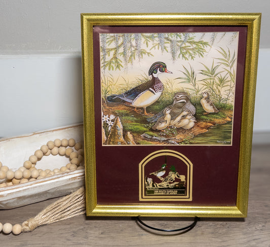 1995 South Carolina Ornament of Hope Wood Duck Print Framed Charleston Mint 20x16