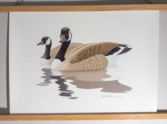 Richard Sloan Canada Geese Pair Wildlife Art Print 19x15