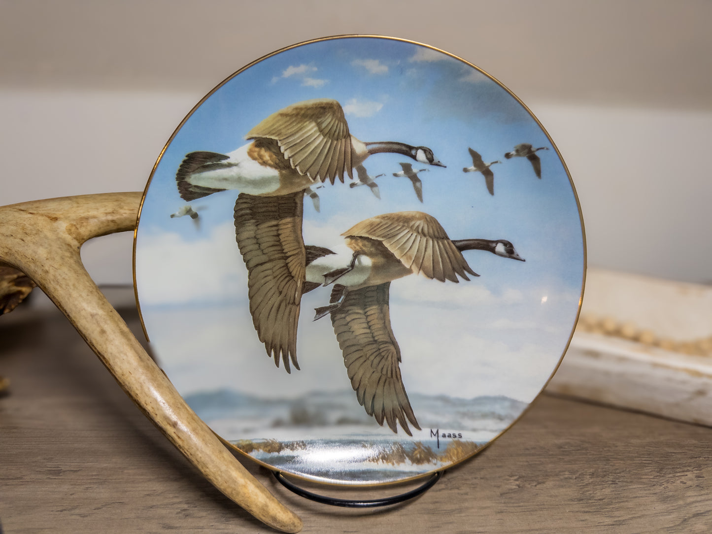Last of the Season Goose Plate by David Maass featuring ducks taking flight, detailed wildlife art from Wild Feathered Finds.