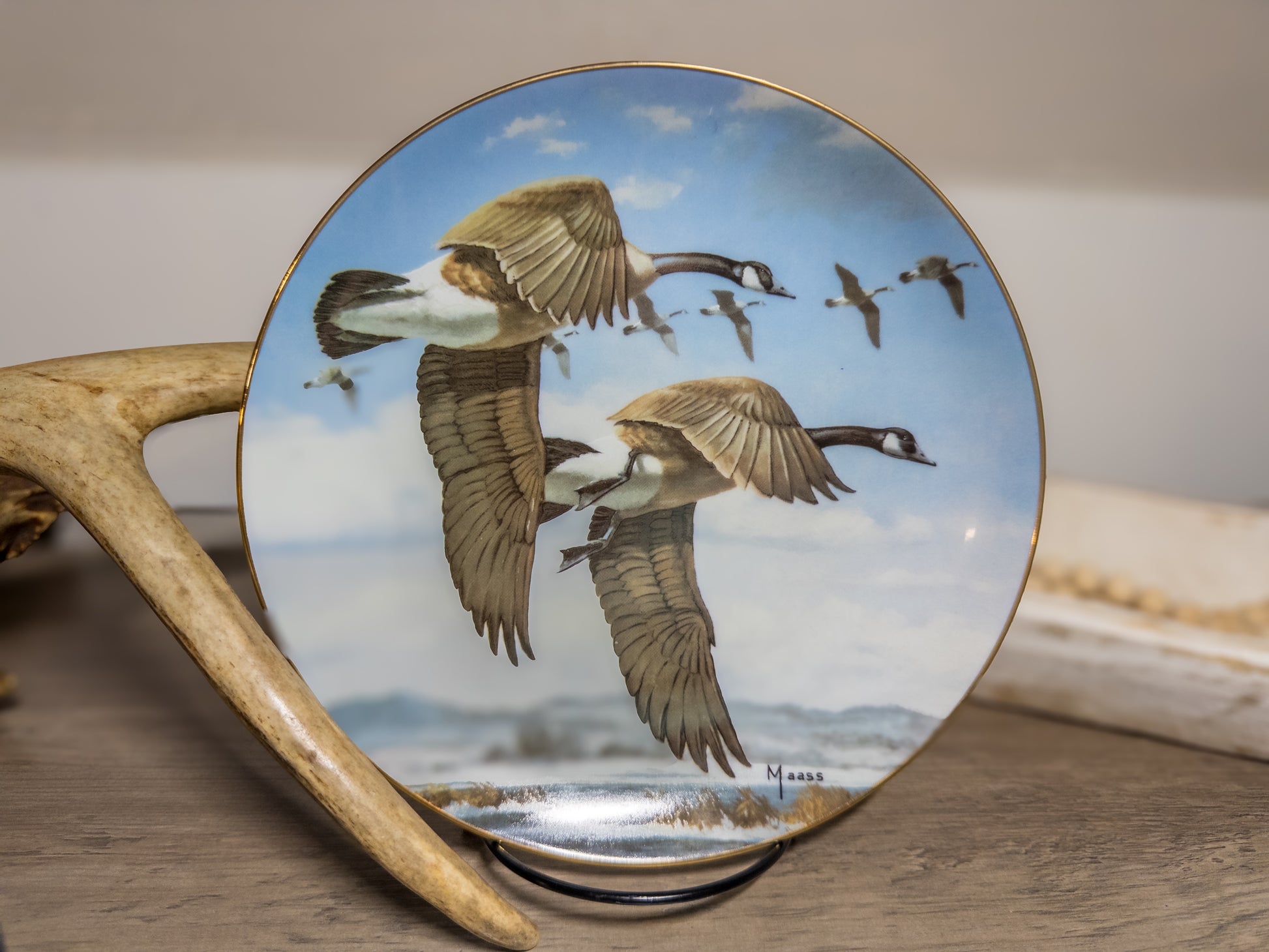Last of the Season Goose Plate by David Maass featuring ducks taking flight, detailed wildlife art from Wild Feathered Finds.
