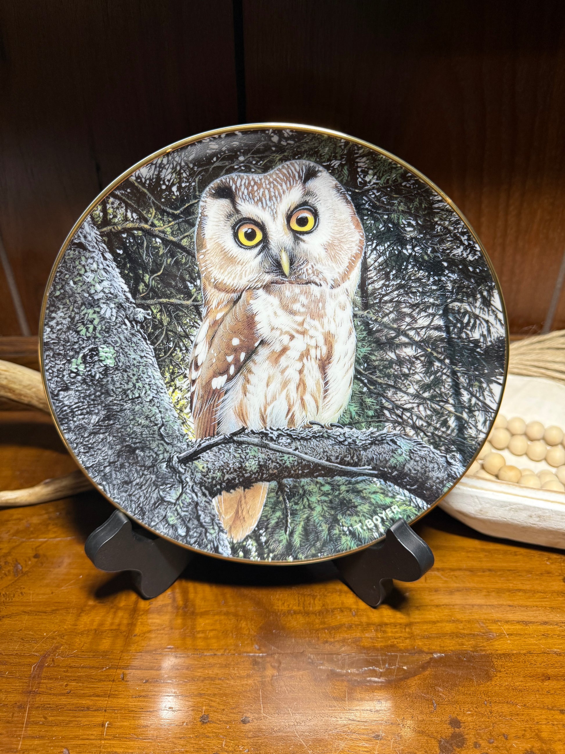 Tengmalm’s Owl collector plate titled “Night Watchman” by Trevor Boyer, featuring detailed owl artwork and display with certificate of authenticity.