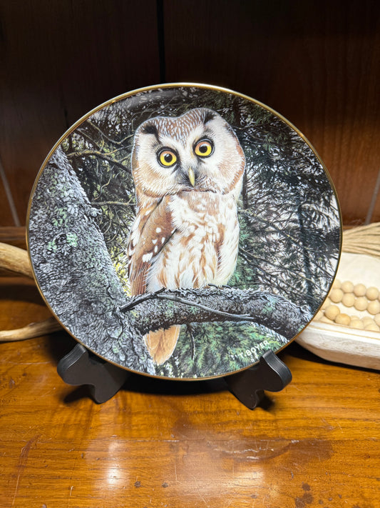 Tengmalm’s Owl collector plate titled “Night Watchman” by Trevor Boyer, featuring detailed owl artwork and display with certificate of authenticity.