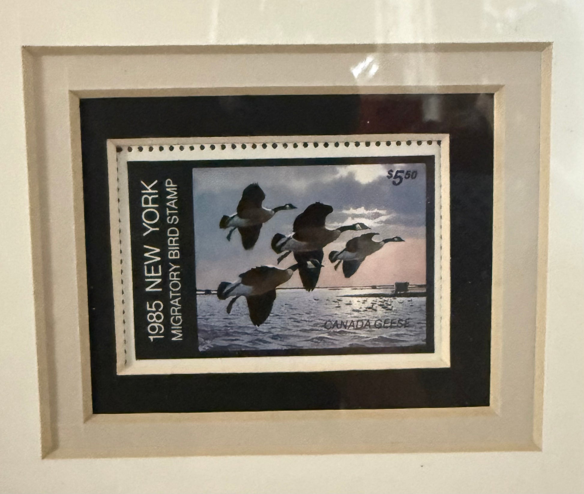 Print of Canada Geese migratory birds by Larry Barton, vintage wildlife conservation artwork from the New York series, Wild Feathered Finds