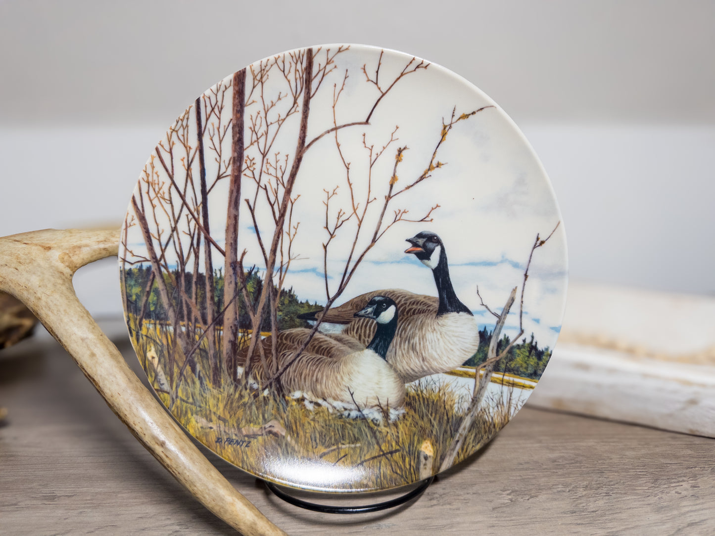 Nesting Goose plate by Donald Pentz from Wings Upon the Wind collection, featuring detailed painted goose design on ceramic.