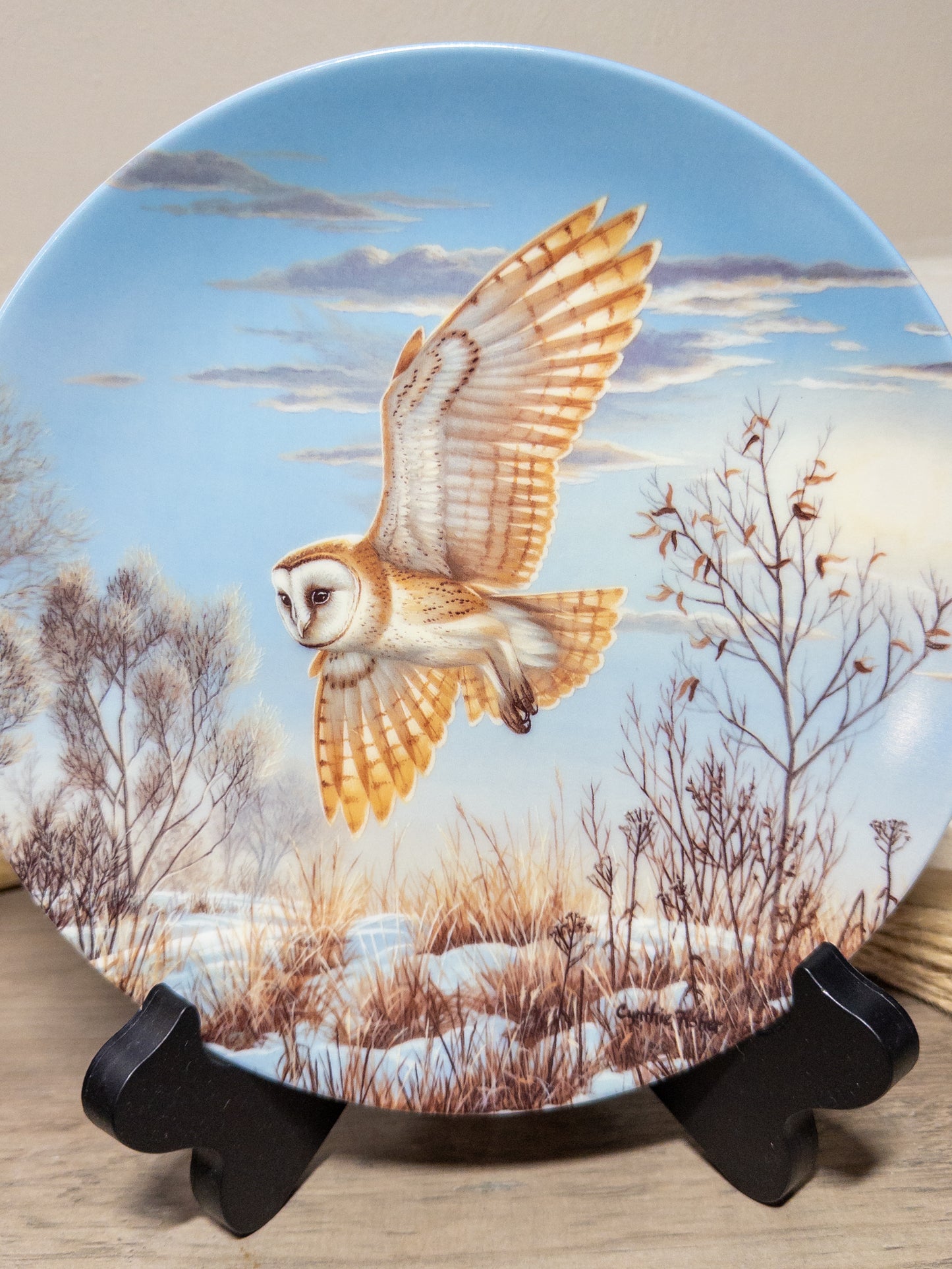 Golden Dusk Owl collector plate from Wild Feathered Finds, part of the Spirits of the Sky series by Cynthia Fisher, featuring detailed owl artwork.