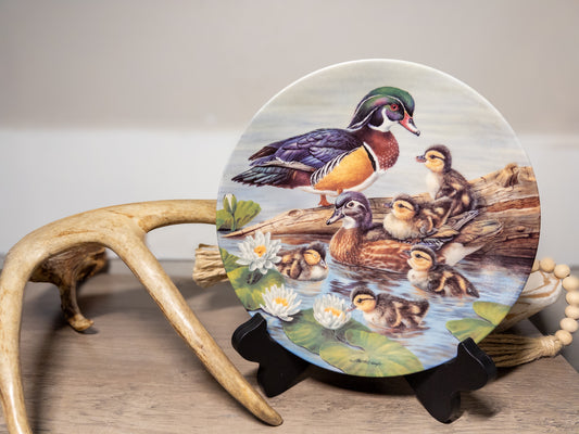 Knowles Nature’s Nursery “Testing the Waters” Wood Duck Plate Joe Thornburgh