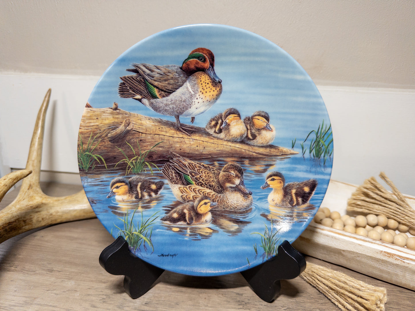 Green-winged teal duck family collector plate by Joe Thornbrugh, part of Wild Feathered Finds' wildlife bird series.