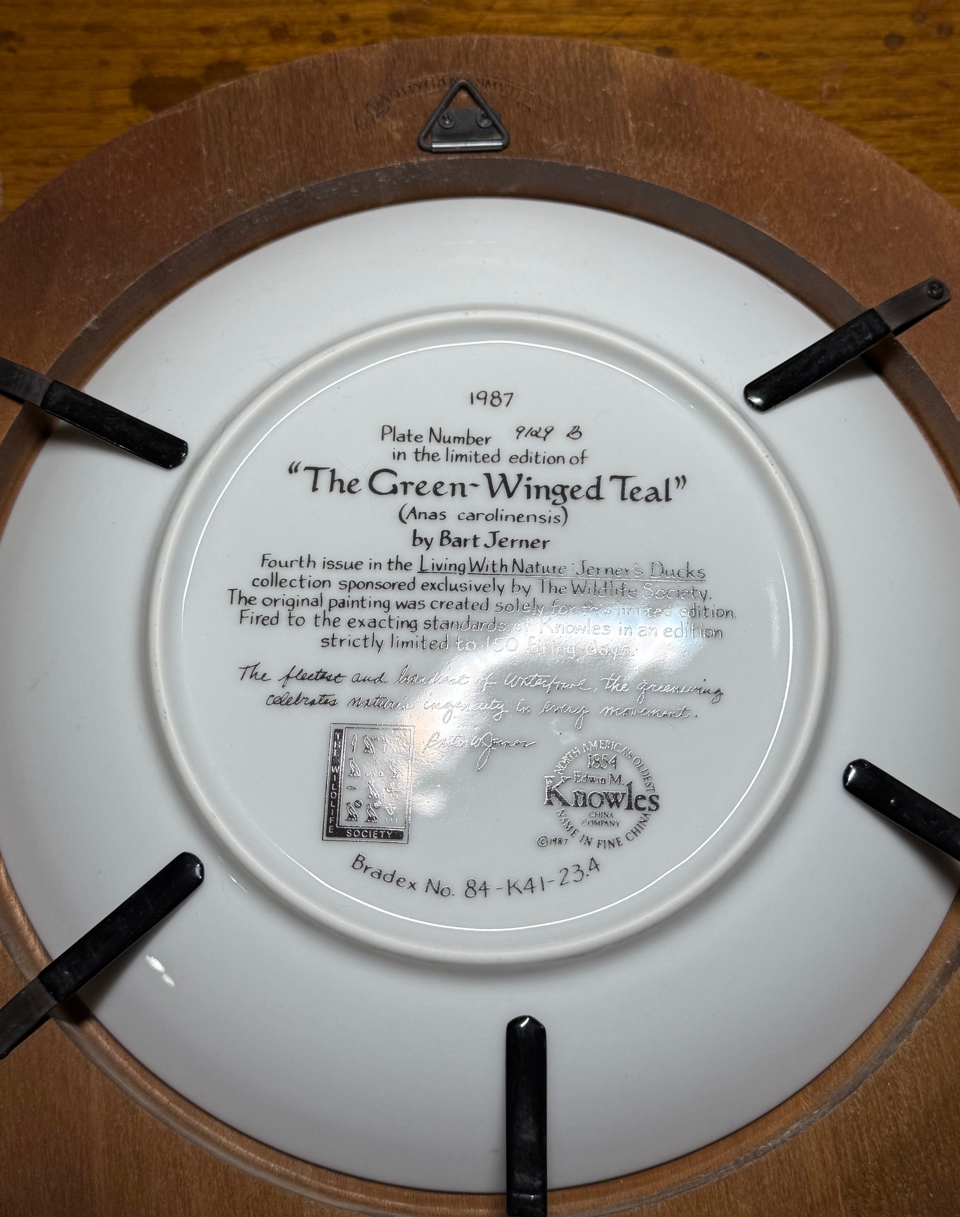 Vintage 1987 "The Green-Winged Teal" collector plate by Jerner, framed, from the Living With Nature series, by Wild Feathered Finds.