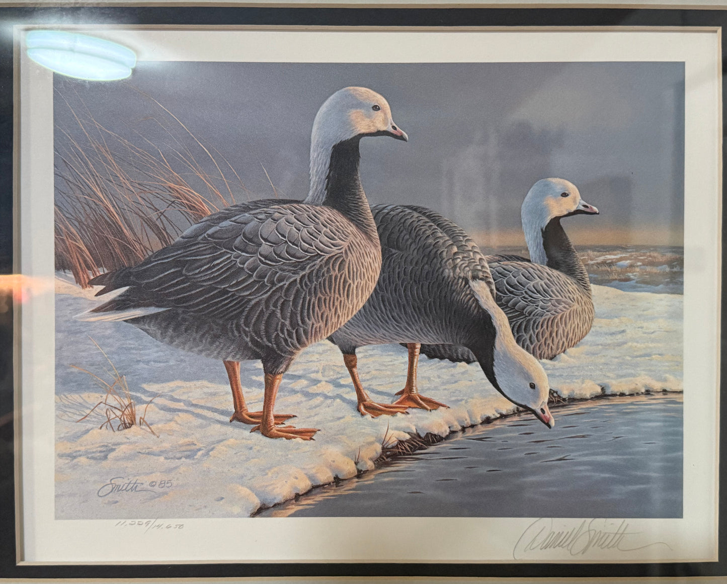 1985 Alaska Waterfowl Conservation Stamp Print Framed – Signed & Numbered