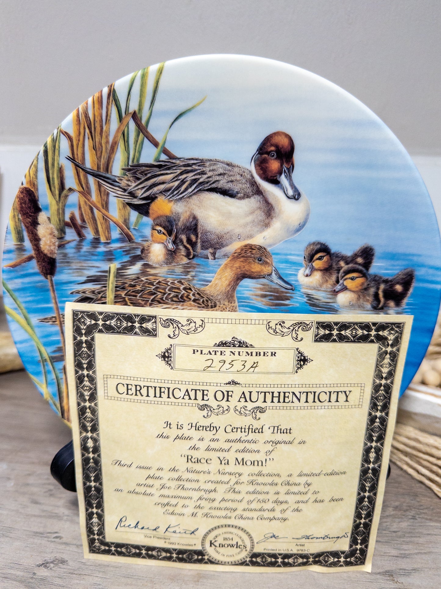 Race Ya Mom! pintail duck collector plate by Joe Thornbrugh, part of Knowles China’s Nature’s Nursery series, plate #2753A.