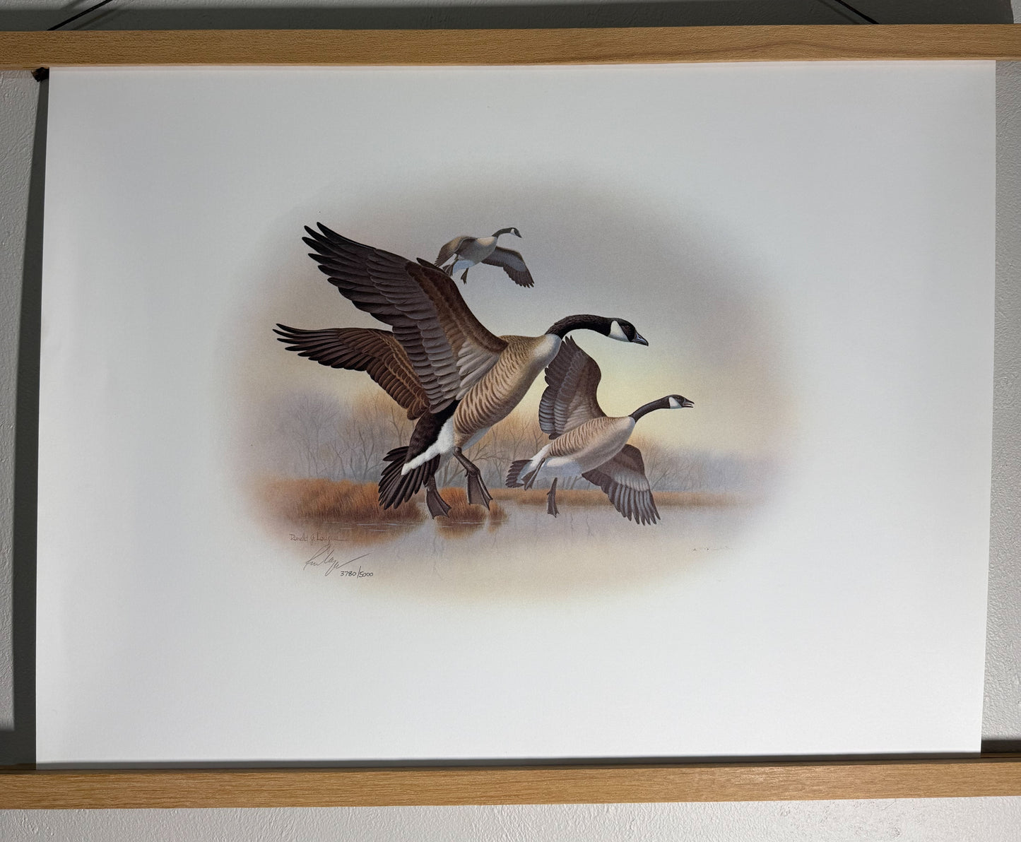 Limited edition signed print of Canada Geese by Ronald J. Lagueux, Wild Feathered Finds, 20x16 inches, numbered 3780 of 5000.