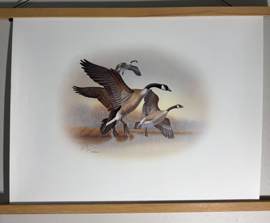 Ronald J. Lagueux Canada Geese Limited Edition Signed Print 20x16 3780/5000