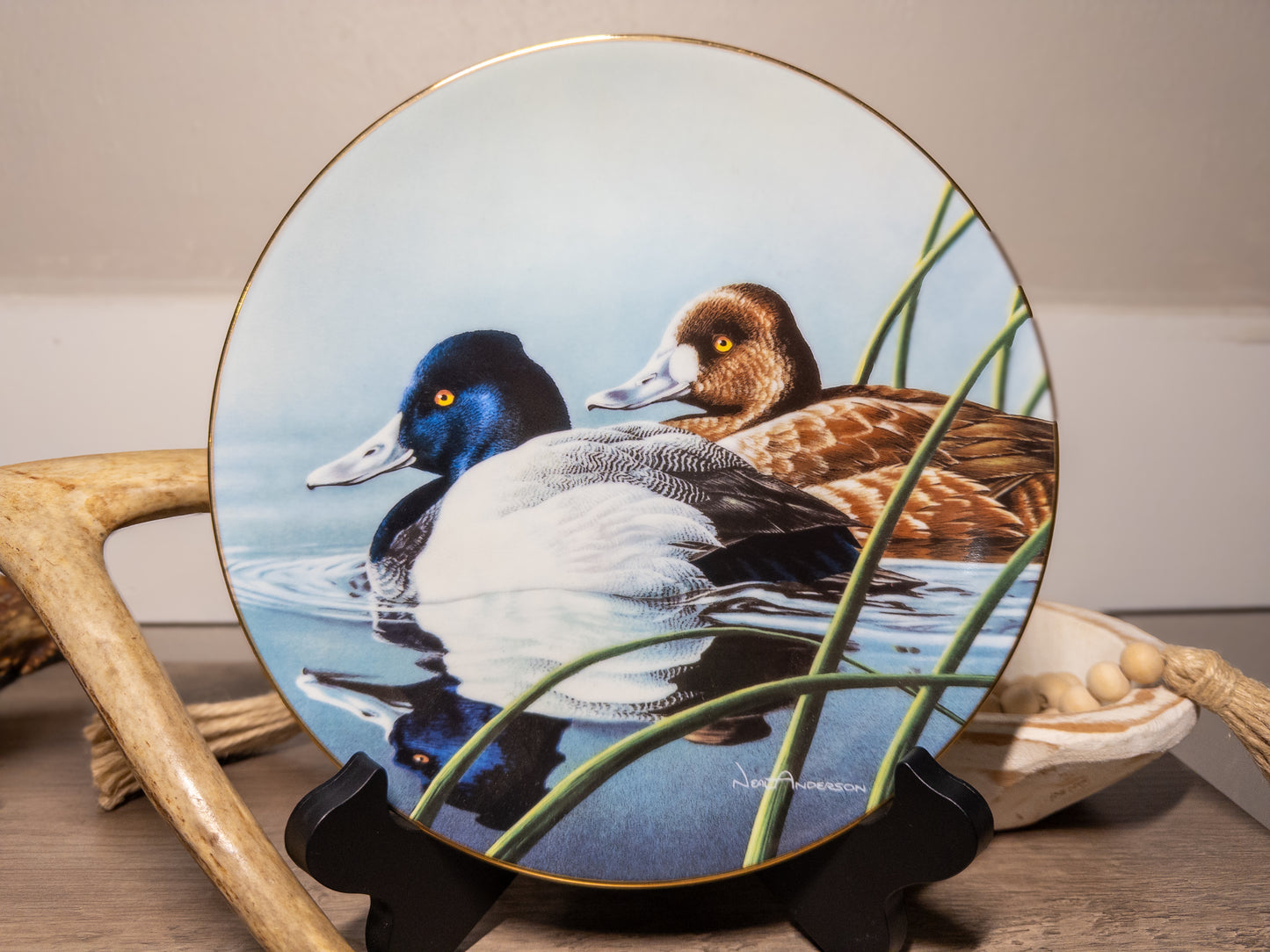 Lesser Scaup duck plate from Neil Anderson's Federal Duck Stamp Collection, part of Wild Feathered Finds series.